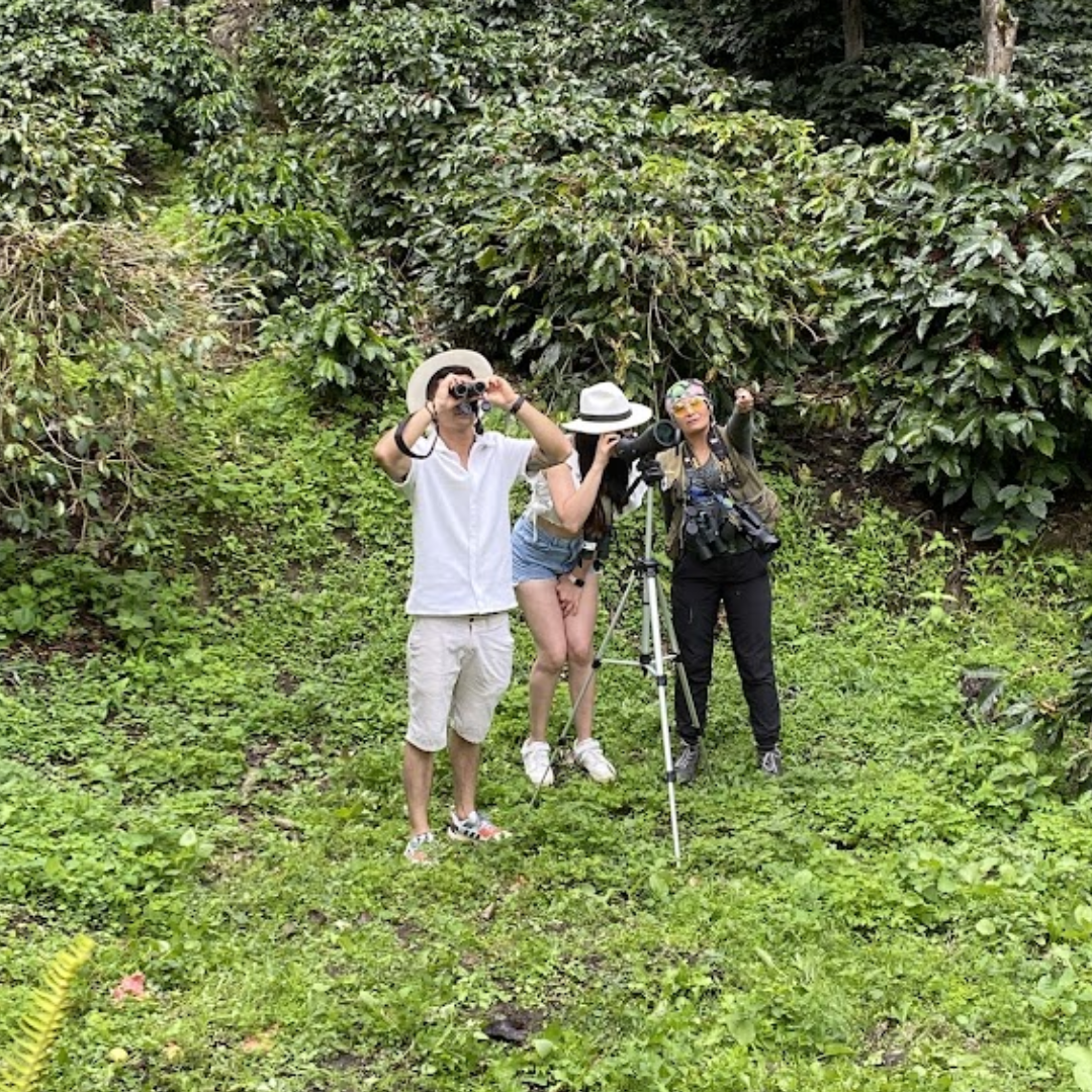 Avistamiento con guía (acompañados)