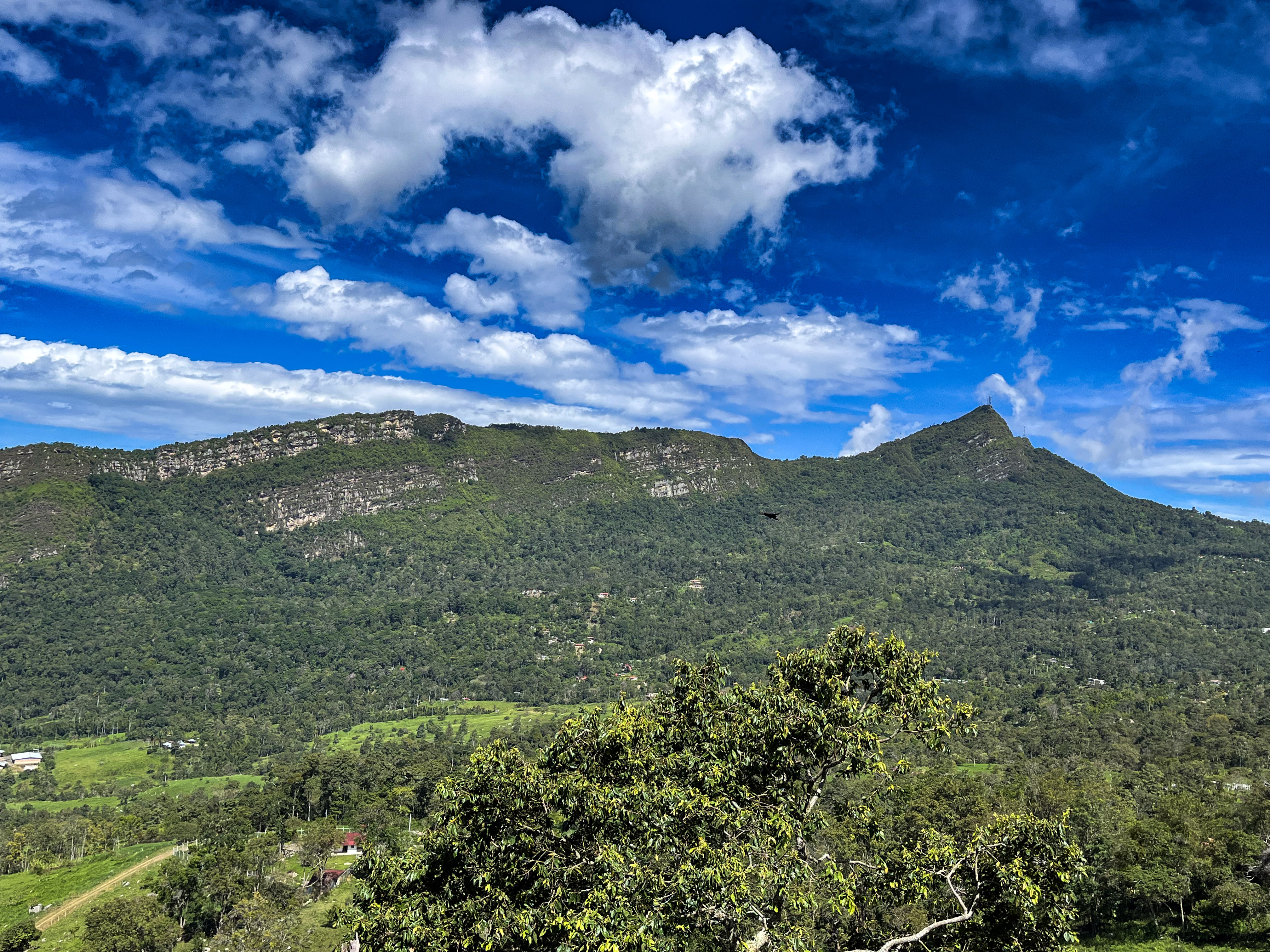 Trekking a Cerro peñas blancas